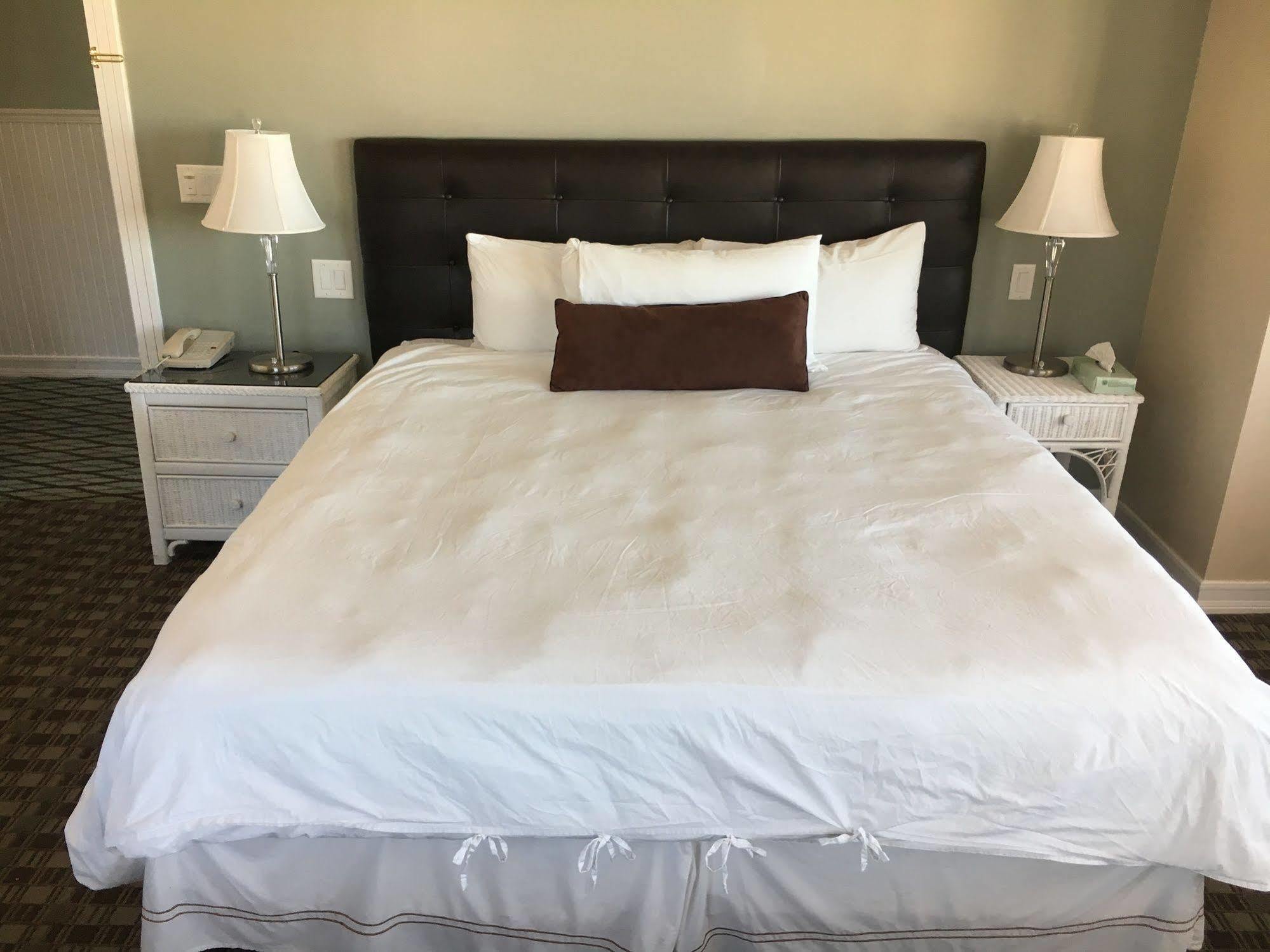 Glenmore Plaza Hotel 阿瓦隆 外观 照片